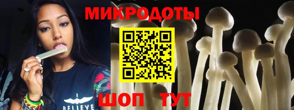 Галлюциногенные грибы MAGIC MUSHROOMS Ставрополь